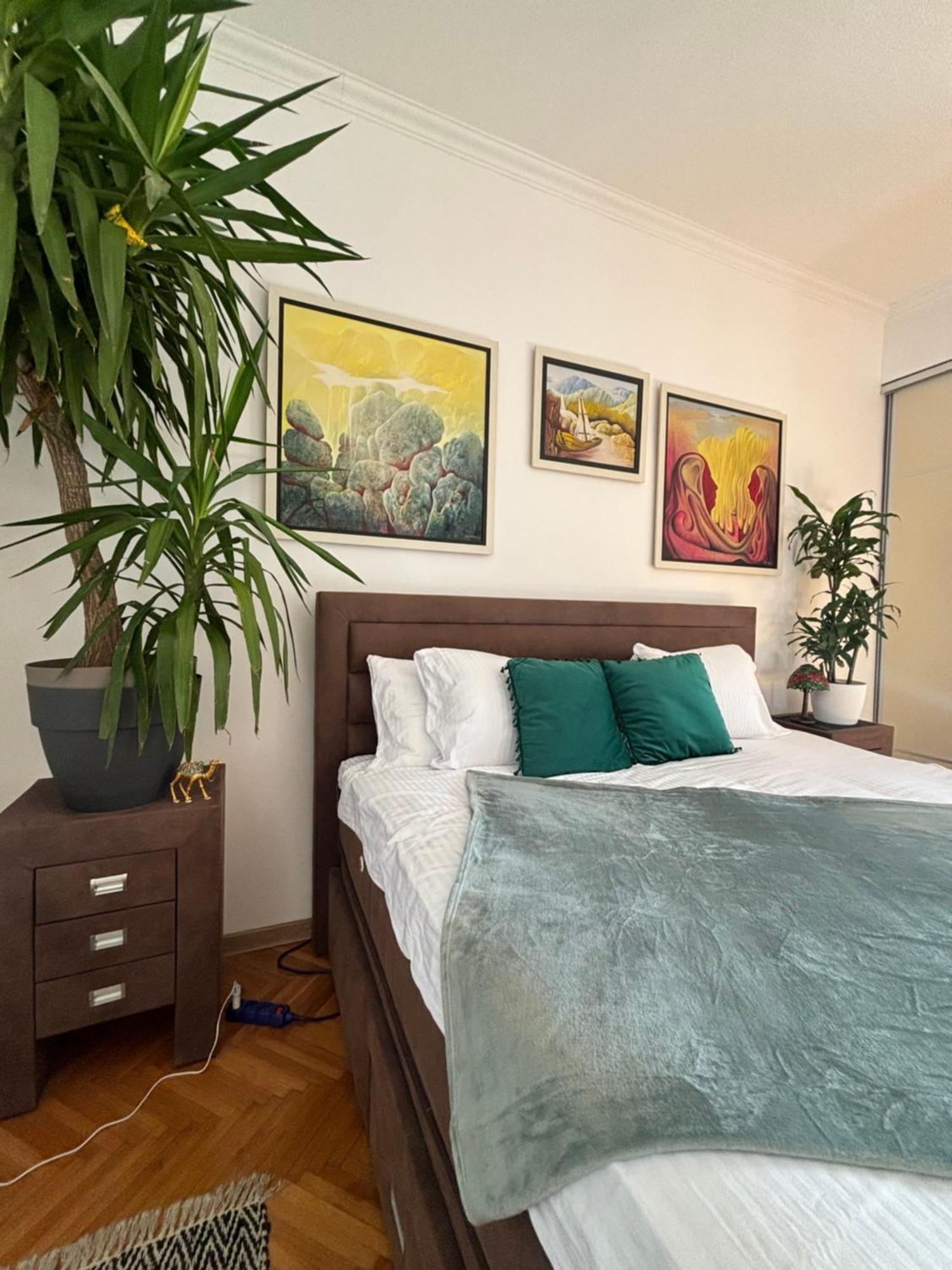 Stylish King Downtown Apartment Podgoriţa Exterior foto