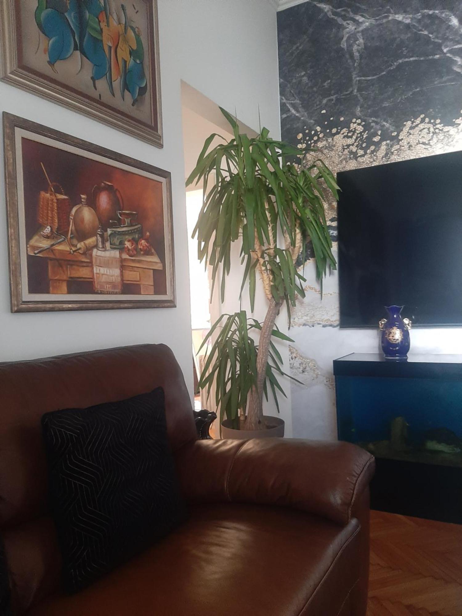 Stylish King Downtown Apartment Podgoriţa Exterior foto